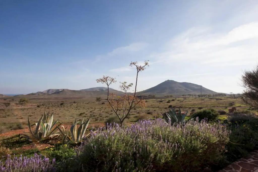 厄尔·坎皮洛·德·罗达尔El Risco Colorado, Cabo De Gata别墅 外观 照片